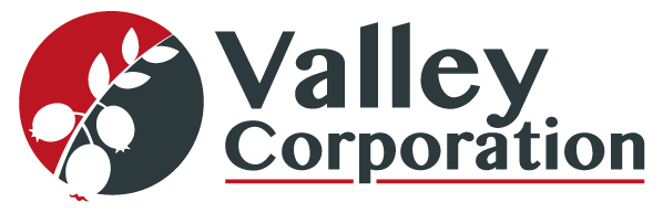 Valley-Corporation.png
